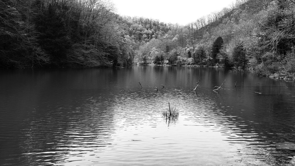 black &white photo of a lake in early spring.